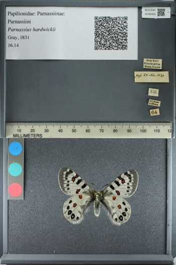 Media type: image;   Entomology 180300